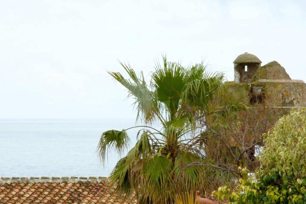 Villa Torrenueva Malaga Bagian luar foto